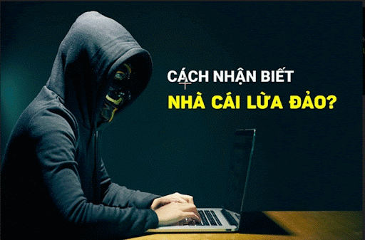 Cách Nhận Biết Những Nhà Cái Cá Cược Lừa Đảo