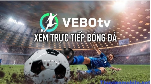 6686vn.online – Thương hiệu top nhà cái uy tín nhất Việt Nam